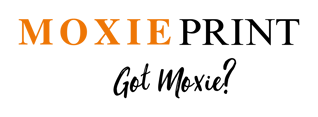 logo_transparent_background-1